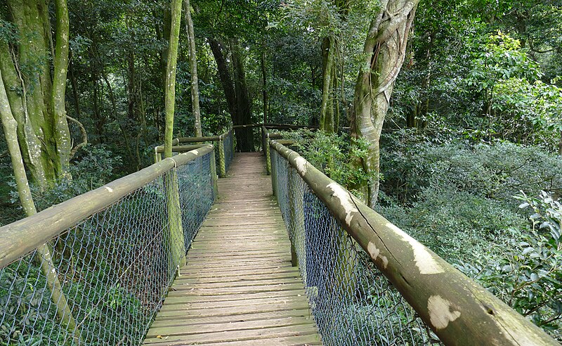 Harold Johnson Nature Reserve