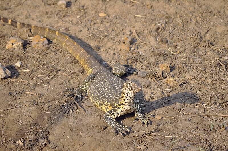 St Lucia & iSimangaliso Wetland Park